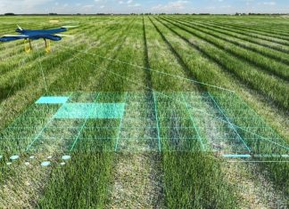 How AI is Transforming Agriculture