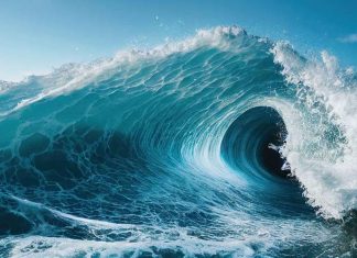 The Blue Ocean Strategy: Finding Untapped Markets and Opportunities