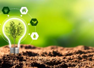 Business Model Innovation: Designing New Models for Growth and Sustainability