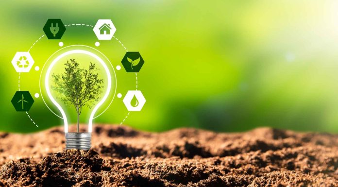 Business Model Innovation: Designing New Models for Growth and Sustainability
