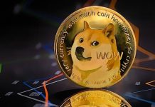 What is Dogecoin? A beginners guide to DOGE cryptocurrency
