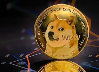 What is Dogecoin? A beginners guide to DOGE cryptocurrency