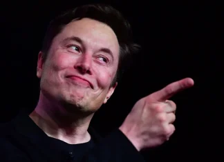 Does Elon Musk Invest In Startups?