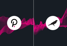 What are parachains: A guide to Polkadot and Kusama parachains