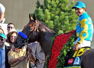 What To Know Before Buying Shares And How Much It Costs A Racehorse