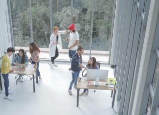 Entrepreneurship 101: Lessons Learned from Successful Startups