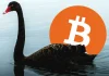 What is Swan Bitcoin and how does it work?
